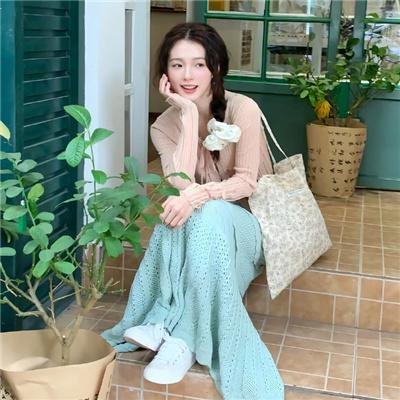 巨齿鲨